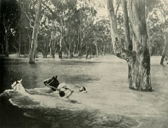 Un banquier, 1901