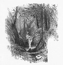 Un affluent du lac, 1883