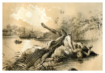 Un incident effrayant, 1883