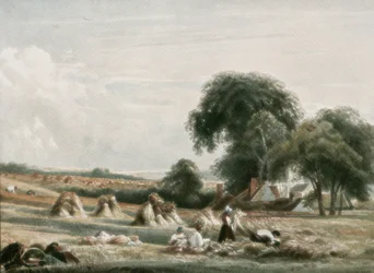 Scène de récolte, vers 1900