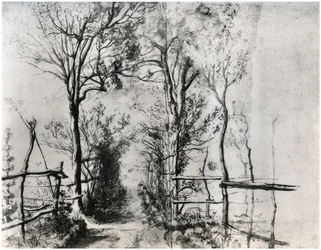 Un chemin bordé d