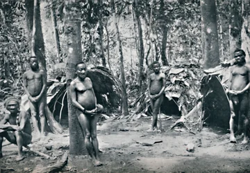 Un village pygmée, bassin du Congo nord-est, 1912