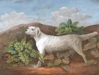 Un setter : face à gauche, avec une perdrix se cachant parmi les bardanes à gauche, vers 1805