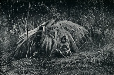 Une hutte Yaghan en Fuegia, 1911