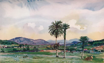 Un coin des banlieues nord-ouest de Rio, le long de la route du chemin de fer central, 1914