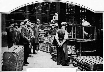 Un coin du marché de Leadenhall, Londres, vers 1901