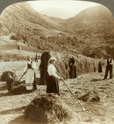 Une famille de fermiers faisant du foin dans un champ ensoleillé entre les montagnes, Roldal, Norvège