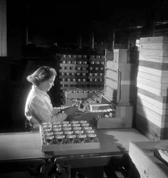 Une travailleuse emballe des boîtes de cigarettes, Londres 1950
