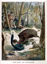 Un chasseur tué par un sanglier, 1901