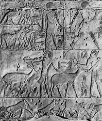 Scène de chasse du tombeau de Ptahhotep, près de Saqqarah, Égypte, vers 2650 av. J.-C., 1936