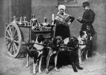 Une laitière avec un inspecteur gouvernemental, Belgique, 1922