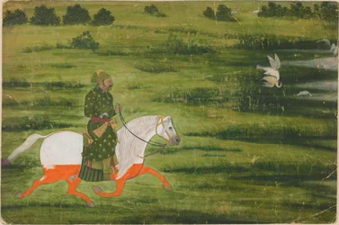 Un homme monté chassant des oiseaux avec un faucon