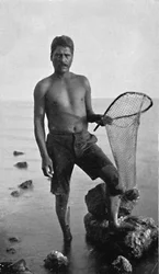 Un pêcheur de crevettes indigène, Hawaï, avec son filet, 1902