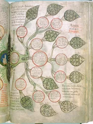 Une page du Liber Floridus, 12ème siècle
