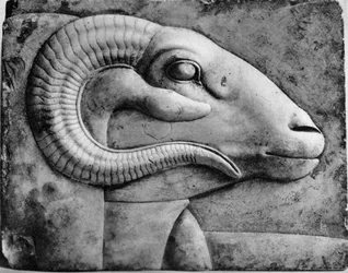 Une tête de bélier, Égypte, 1936