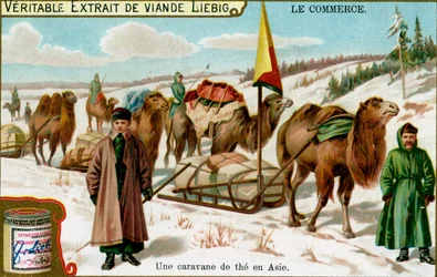 Une caravane de thé en Asie, vers 1900