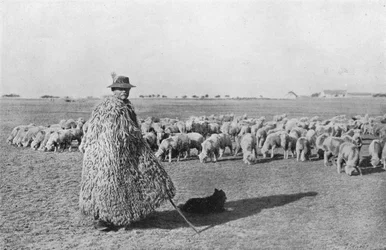 Un berger typique et son troupeau dans les plaines de Hongrie, 1915