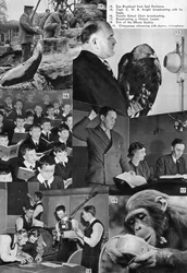 Une visite à la BBC, 1937