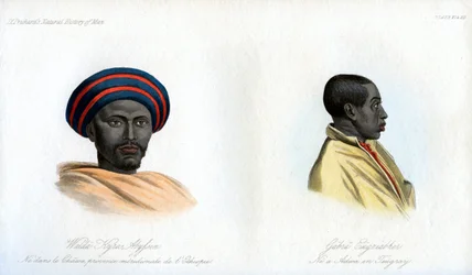 Portraits abyssins, 1848