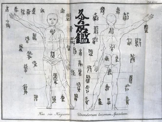 Acupuncture : carte du corps humain indiquant les points de moxibustion, Japon (carte relative au moxa, vers 1690)