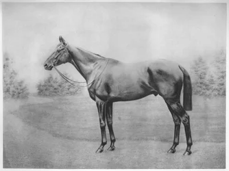Amiral Togo III