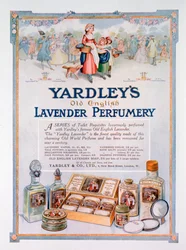 Publicité pour la parfumerie Yardley
