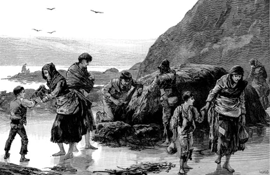Conséquences de la famine, Irlande 1840s, 1886