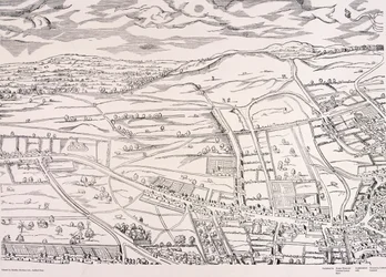 Carte d