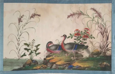 Album contenant douze peintures d