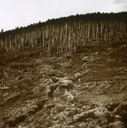 Alsace, vers 1914-1918