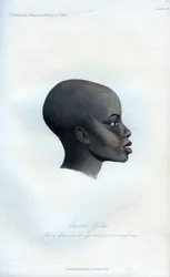Amochi Galla, un portrait d