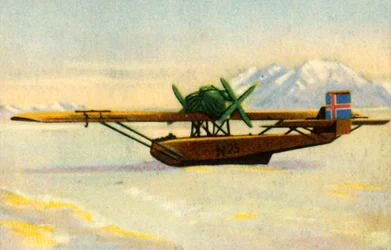 Dornier Do J Wal d