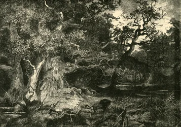 Une vieille forêt allemande, 1890