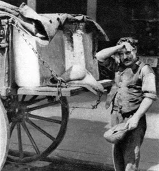 Un marchand de glace avec son chariot, Londres