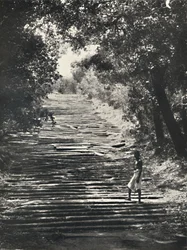 Début des escaliers en pierre de Mihintale, 1926