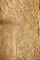 Angkor Wat, Détail sculpté sur le mur. Arbre, Siem Reap, Cambodge