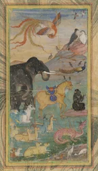 Animaux et oiseaux