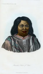 Araucano, natif du Chili, 1848