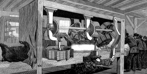 Abattoir de porcs de la compagnie Armour, Chicago, Illinois, États-Unis, 1892