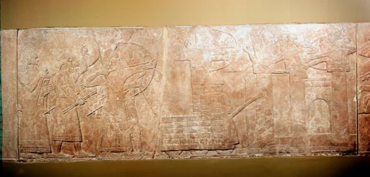 Assurnasirpal II, roi d