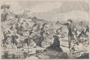 Août à la campagne - Le bord de mer Harper
