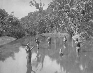 Aborigènes australiens pêchant au harpon, XIXe siècle