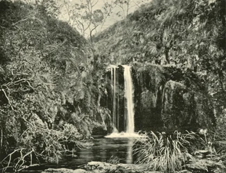 Chutes de Back Creek, rivière Buchan, Victoria