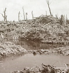 Rives de la rivière Yser, Dixmude, Belgique, vers 1914-1918