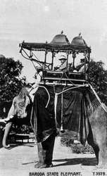 Éléphant de l