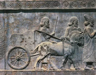 Bas-relief, art persan, VIe siècle