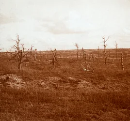 Champ de bataille, Tahure, nord de la France, vers 1914-1918