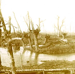 Champ de bataille, vers 1914-1918