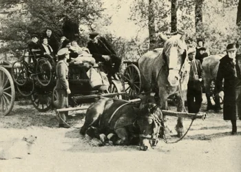 Réfugiés belges sur la route, 1939-1940, 1941