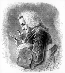 Bernard de Jussieu, botaniste français du XVIIIe siècle, 1880